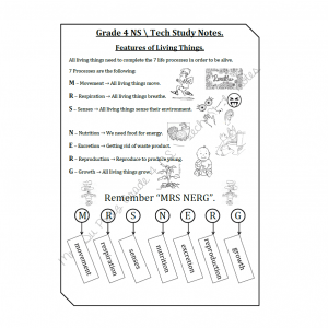 Gr 4 NS TECH Term 1 - typed