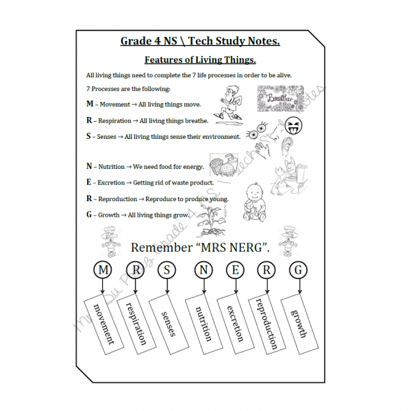 Gr 4 NS TECH Term 1 - typed