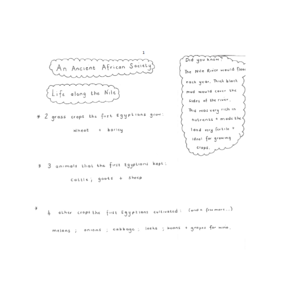 History - Term 3