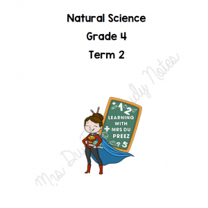 Gr 4 NS/Tech Term 2