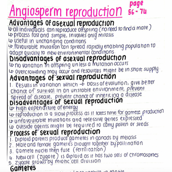 Angiosperm Reproduction Biology - Grade 12