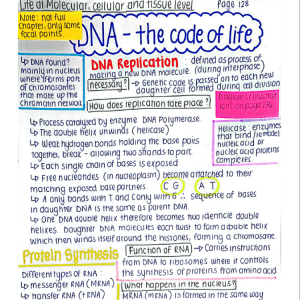 DNA, Chromosomes, Genetics Biology - Grade 12