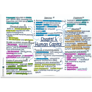 Human Capital Business Studies - Grade 12
